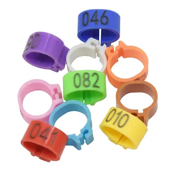 1000 db Galamb lábgyűrű1-100 digitális azonosító gyűrű 10 mm Madár gyűrű Madár képzési eszközök Állatvezérlő eszköz