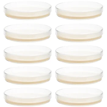 10db Előre öntött agar lemezek Petri-csészék agarral Tudományos kísérlet tápanyag agar kultúra táptalaj Bickman biológiai agar lemez