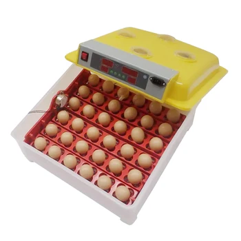 Kisméretű, teljesen automata csirke inkubátor Tojáskeltető gép Tojás inkubátorok Incubadoras de Huevos 56 strucckacsa tojás inkubátor